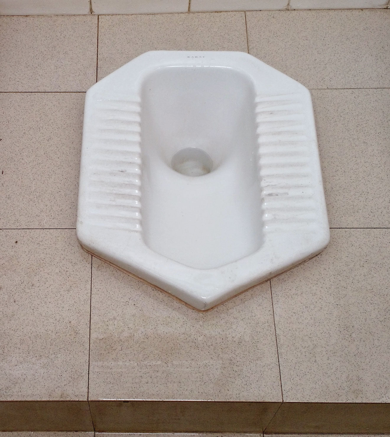 Sparkling clean Indian toilet maintained with Powerit's toilet hygiene products